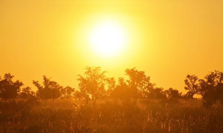 Усиление ветра в сочетании с жарой: синоптики в ЛНР рассказали о прогнозе на 27 августа