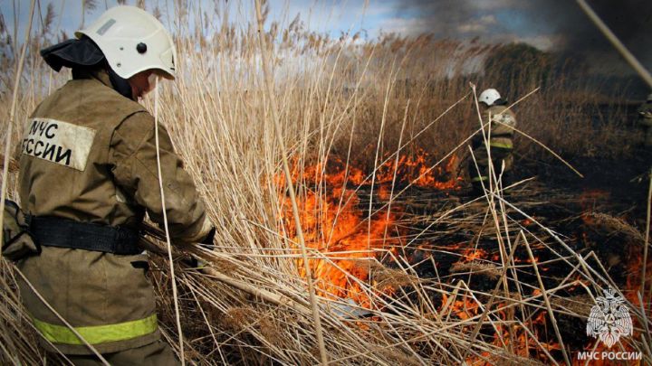 Внимание, жители ЛНР! В Республике объявлен 5 класс пожароопасности