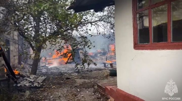 Огонь с поля перекинулся на жилмассив в одном из районов ЛНР: причиной возгорания называют человеческую халатность