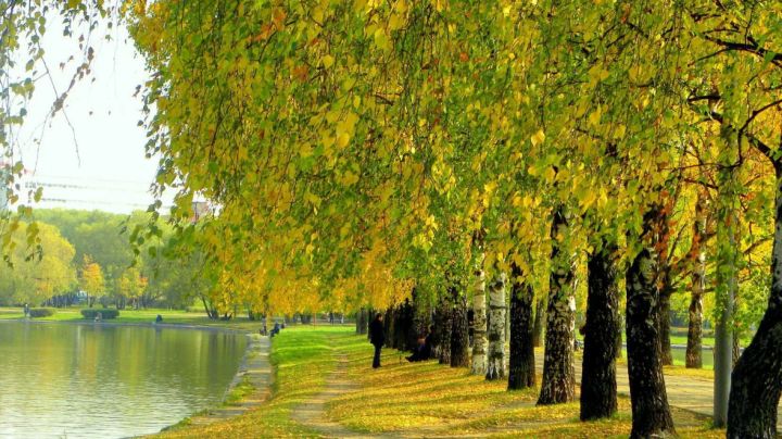 Станет немного прохладнее, но всё так же ветрено: прогноз погоды в ЛНР на 4 сентября