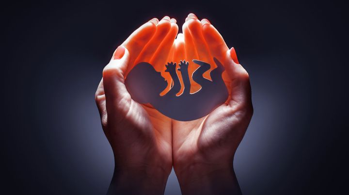 Беременная ростовчанка сделала аборт, но ребёнок всё равно родился: теперь она судится с врачами