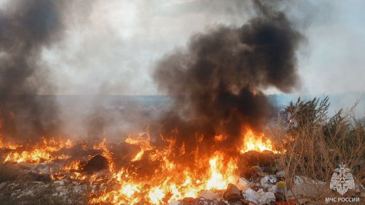 Колоссальный ущерб и причина гибели людей: пожары с полей не щадят жителей ЛНР и их имущество