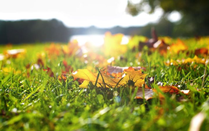 Погода постепенно становится осенней: синоптики рассказали о прогнозе в ЛНР на 5 сентября