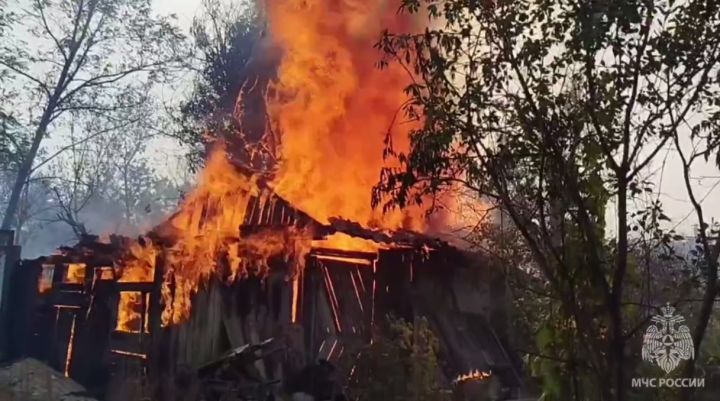 Уничтожены дома, хозпостройки, мог сгореть дачный кооператив: в одном из районов ЛНР ликвидировали сильный пожар