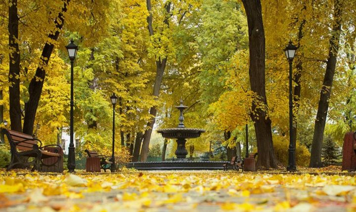 Местами гроза, температура падает: прогноз погоды в ЛНР на 8 сентября