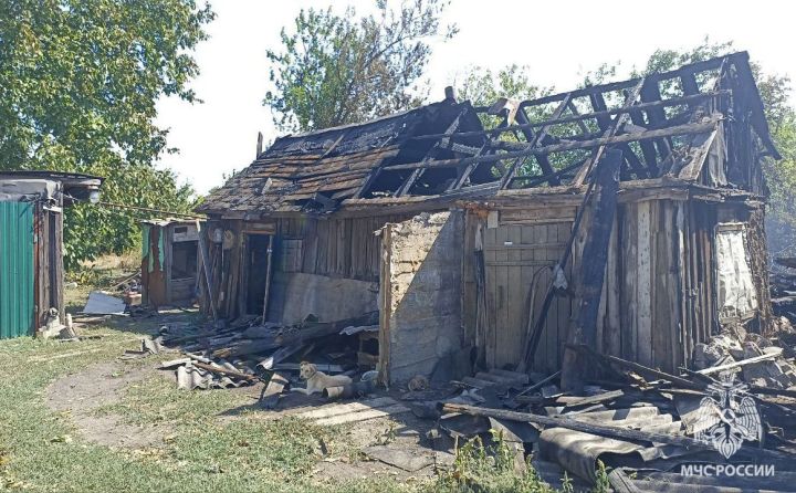 Решил сжечь мусор в жару - едва не лишился дома и жизни: в ЛНР спасатели тушили крупный пожар