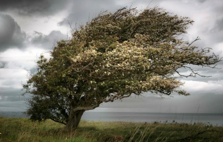 Внимание! Штормовое предупреждение объявлено в ЛНР на 10 сентября