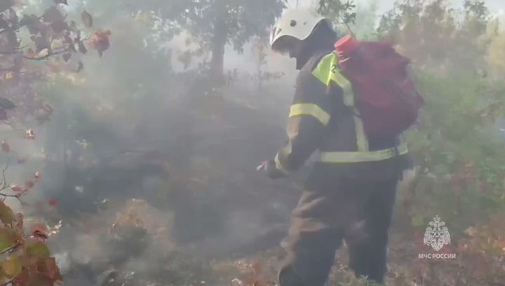 Возгорания с полей не щадят никого: пожарные сумели отстоять от огня пять населённых пунктов в ЛНР