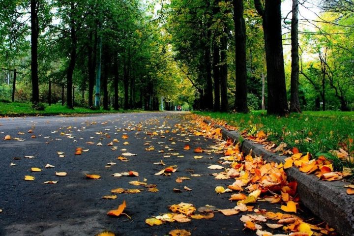 Снова дождь, ветер и гроза. Синоптики сообщили о погоде в ЛНР 11 сентября