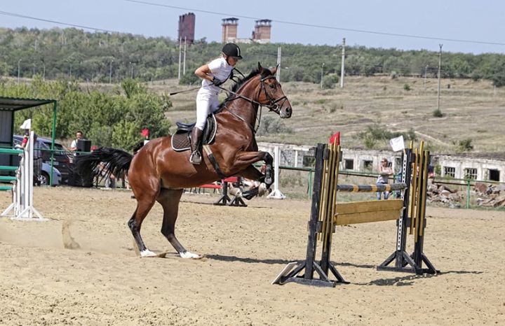Особенный мир конноспортивного клуба «Декуриона» из Хрящеватого