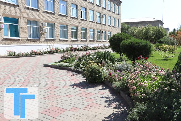Красивые клумбы – заслуга умелых рук: как преобразилась территория возле здания Свердловского колледжа