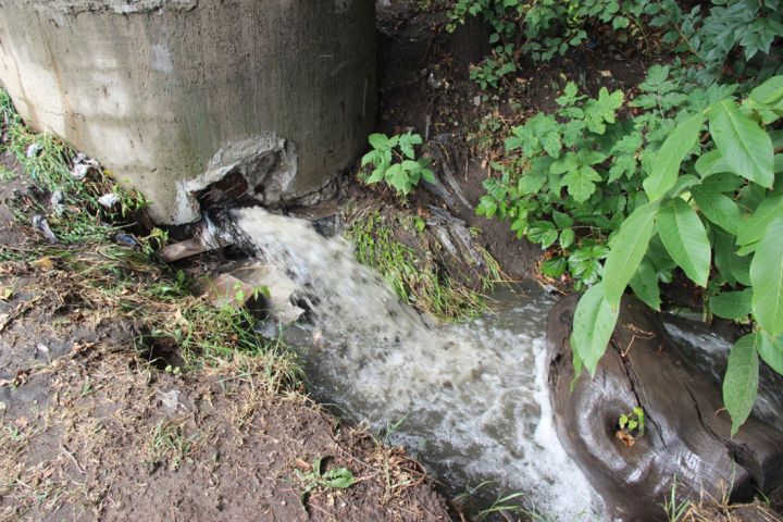 Как бороться с «рекой-вонючкой» в Краснодоне? Спрашиваем у инстанций