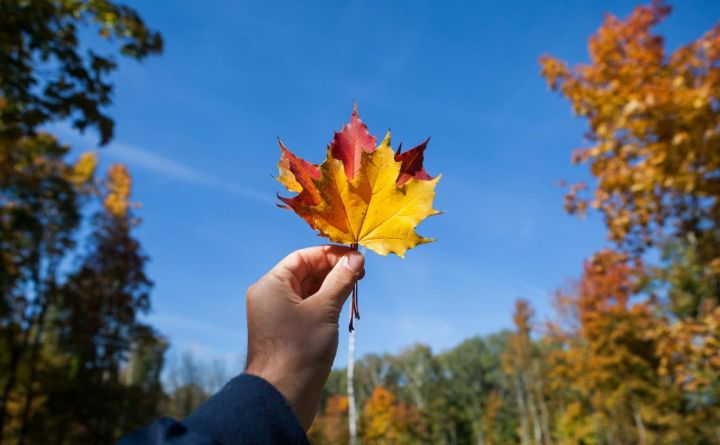 Нарастающая жара встретит жителей ЛНР накануне выходных: прогноз погоды на 13 сентября