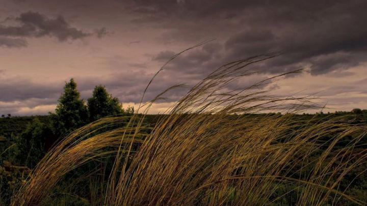 Штормовое предупреждение объявлено в ЛНР на 13 сентября