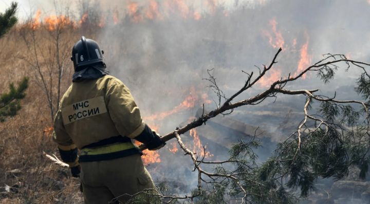 Третий район ЛНР ввёл режим ЧС из-за масштабного пожара: ситуация близка к критической