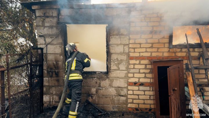 Ветер и засуха стали причиной очередного крупного пожара в ЛНР: сгорели дома и хозпостройки