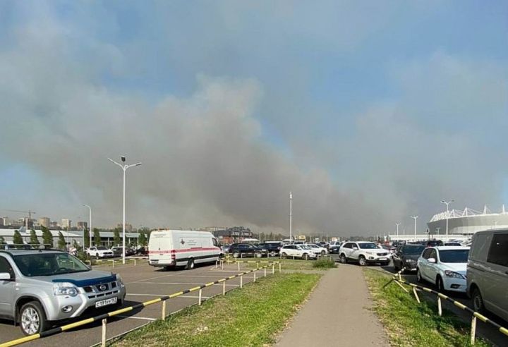 Перехлёст ЛЭП, неосторожность с огнём и сильный ветер: названы причины масштабных пожаров в населённых пунктах Ростовской области