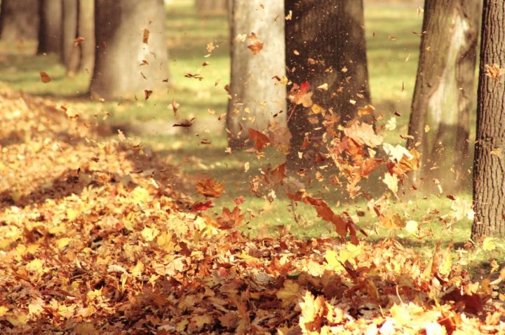 Сильные порывы ветра в сочетании с пожароопасностью: прогноз погоды в ЛНР на 17 сентября