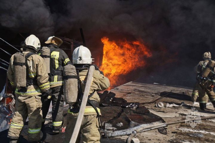 Жителей ещё одного села в ЛНР начали эвакуировать: огонь подобрался вплотную к населённому пункту