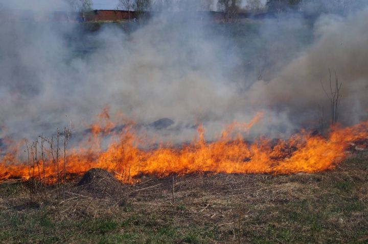 Улучшений не предвидится: до конца сентября в ЛНР сохранится сухая погода и без осадков