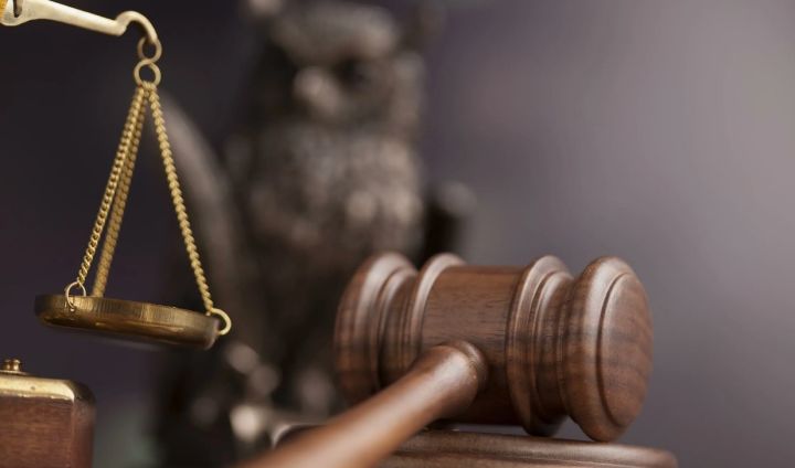 Разнорабочего в ЛНР будут судить за убийство по неосторожности: дерево, которое он пилил, насмерть придавило человека