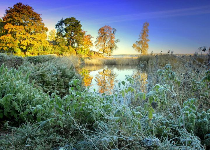 Первые заморозки придут в ЛНР: прогноз погоды на 20 сентября