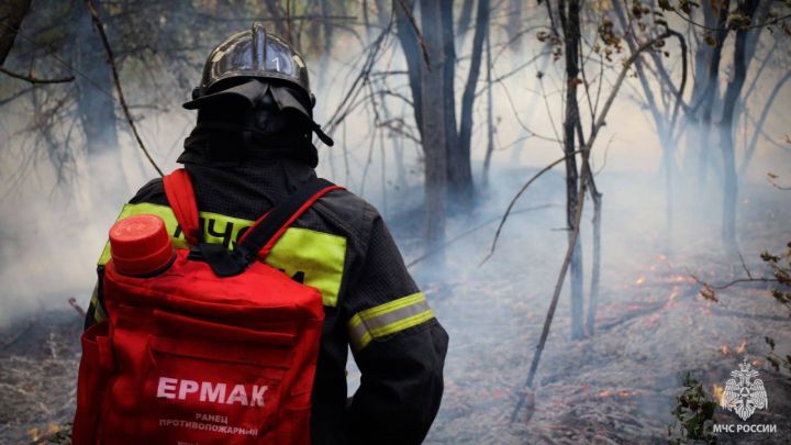 Сгорели более 160 домов: ситуация с пожарами в одном из районов ЛНР до сих пор не стабилизировалась