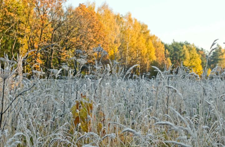 Выходные в ЛНР начнутся с заморозков: прогноз погоды на 21 сентября