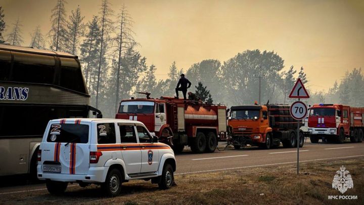 Сгорело больше 150 домов и 2300 гектаров леса: ужасающие последствия пожара в одном из районов ЛНР