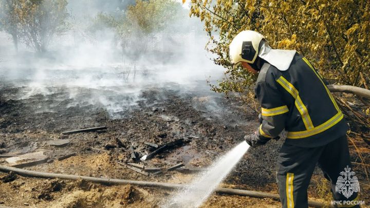 Огонь с полей опять перешёл на частный сектор: о самых резонансных пожарах в ЛНР за сутки