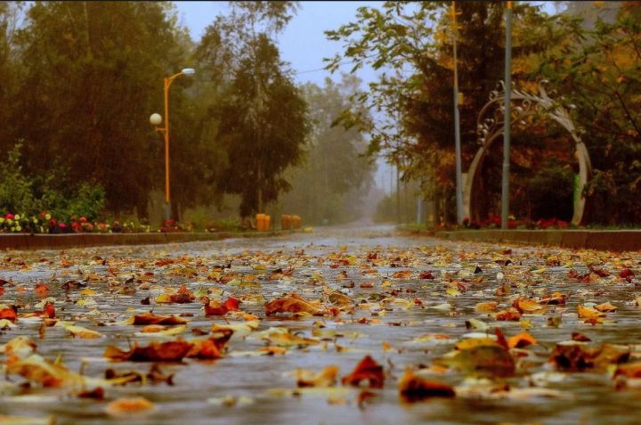 Похолодание, ветер и дожди сменят тёплую погоду в граничащем с ЛНР российском регионе