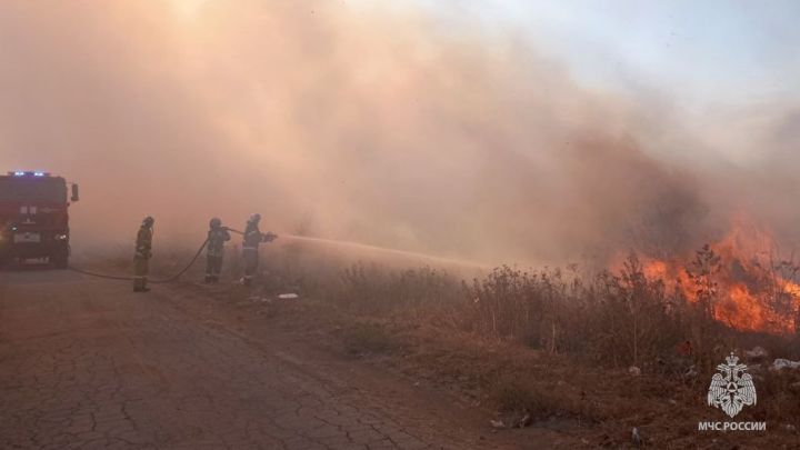 В МЧС по ЛНР предупреждают - не жгите мусор! Огонь опять перекинулся на жилой сектор