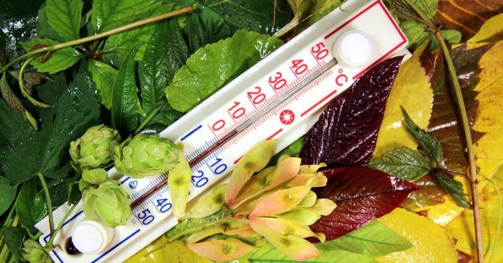 Заморозки ночью, до +27 днём: синоптики сообщили о прогнозе погоды на 26 сентября