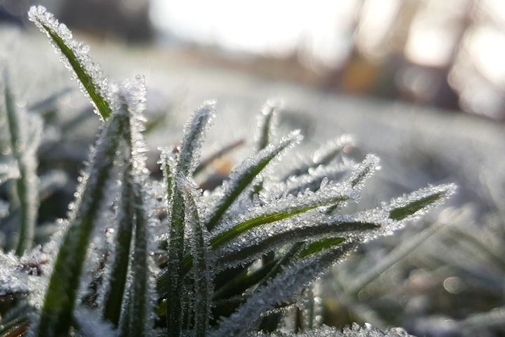 Внимание, жители! Заморозки до -3 придут в ЛНР 26 сентября