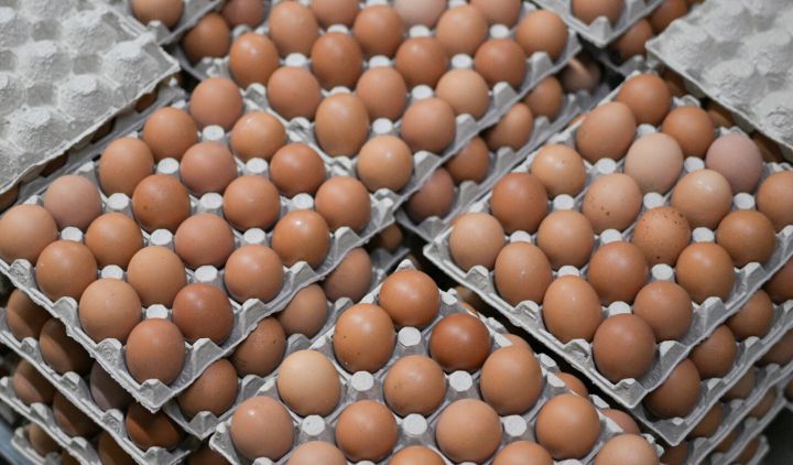 Новые меры по сдерживанию цен на яйца введут в РФ: что придумали на этот раз?