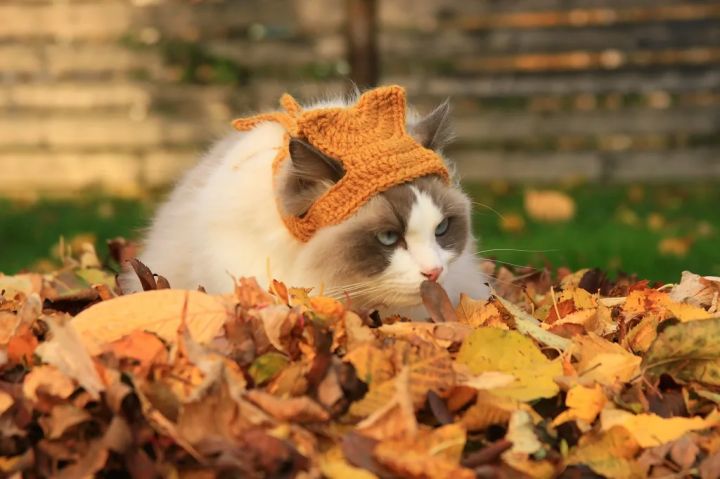 Заморозки пока отступили: прогноз погоды в ЛНР на 27 сентября