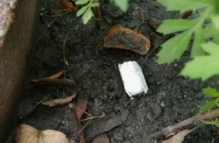 Семейная пара и подросток работали на преступников, продающих наркотики в ЛНР