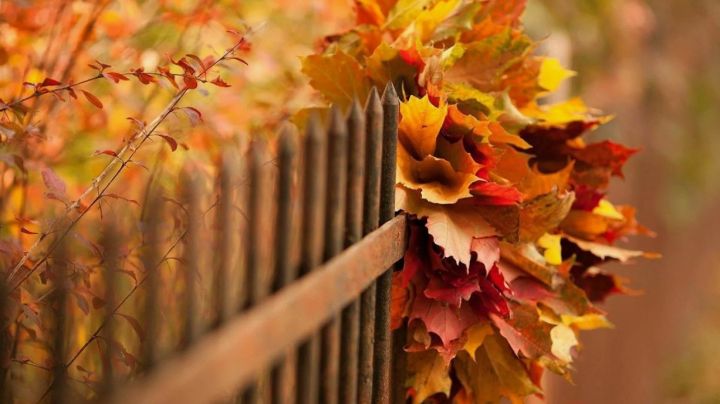 Тепло возвращается: прогноз погоды в ЛНР на 29 сентября