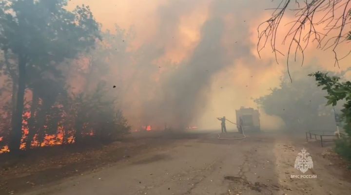 Внимание, население! В ЛНР опять фиксируют масштабные пожары, МЧС отстаивает населённые пункты у стихии