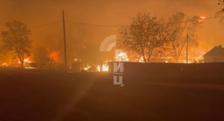 Характер пожаров в ЛНР свидетельствует о поджогах: Пасечник призвал жителей сообщать полиции сведения о поджигателях