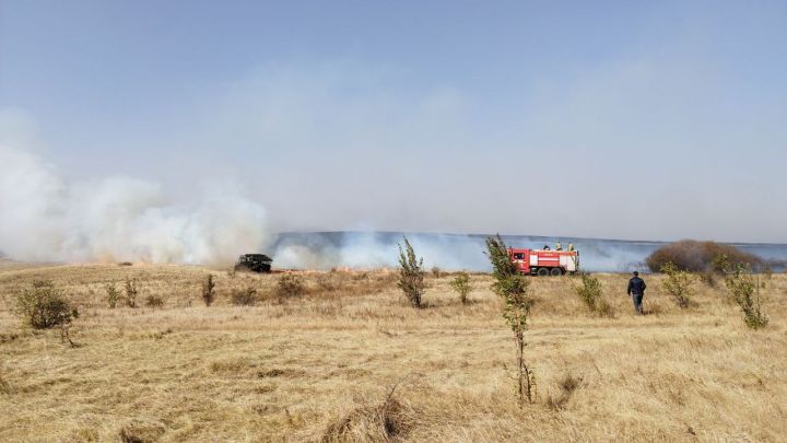 Ситуация сложная: крупный пожар тушат в одном из районов ЛНР