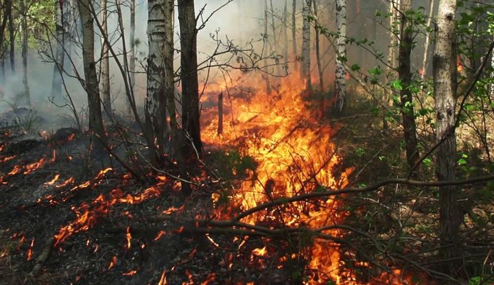 По всей Ростовской области введён режим ЧС: чем это грозит обычным гражданам?