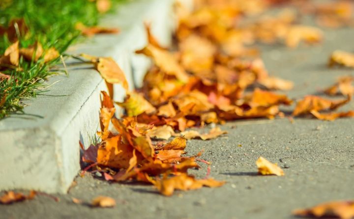 Что для свердловчан значит осень? Результаты опроса