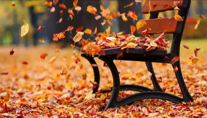 ВНИМАНИЕ! Штормовое предупреждение объявлено в ЛНР на 8 октября