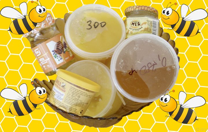 Сладкая дегустация: какой мёд оказался вкуснее - из Ростовской области или ЛНР?