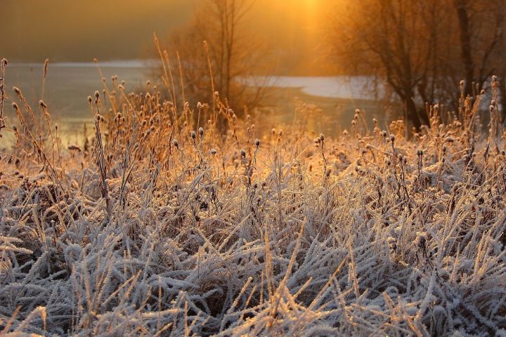 Внимание, жители! Синоптики сделали экстренное предупреждение в связи с заморозками в ЛНР