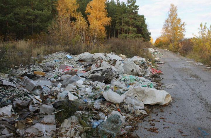 Жителям ЛНР разъяснили, что делать в случае обнаружения несанкционированной свалки