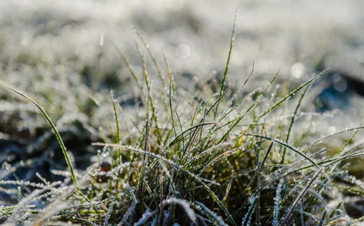 Заморозки, дождь и снижение температуры: прогноз погоды в ЛНР на 13 октября