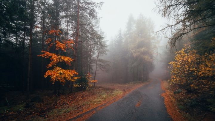 Местами туман и дождь: прогноз погоды в ЛНР и Луганске на 14 октября