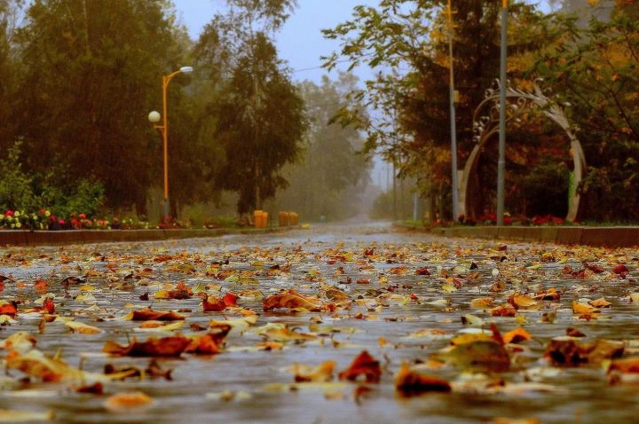 Дождливая погода пришла в ЛНР: синоптики сделали прогноз на 15 октября